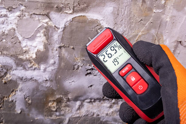 Best Emergency Mold Removal  in Swisher, IA