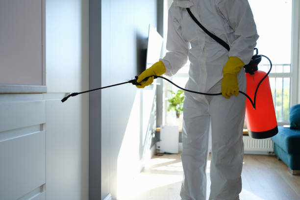 Best Residential Mold Removal  in Swisher, IA
